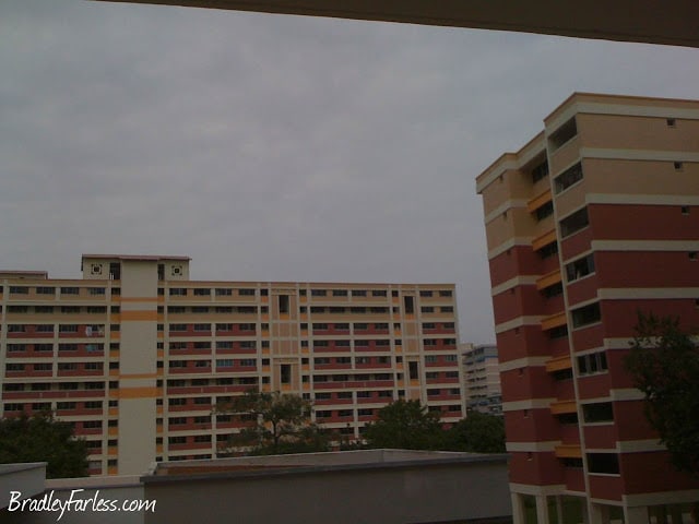 Mobile Photo 15-Jan-2010 PM 05 10 57