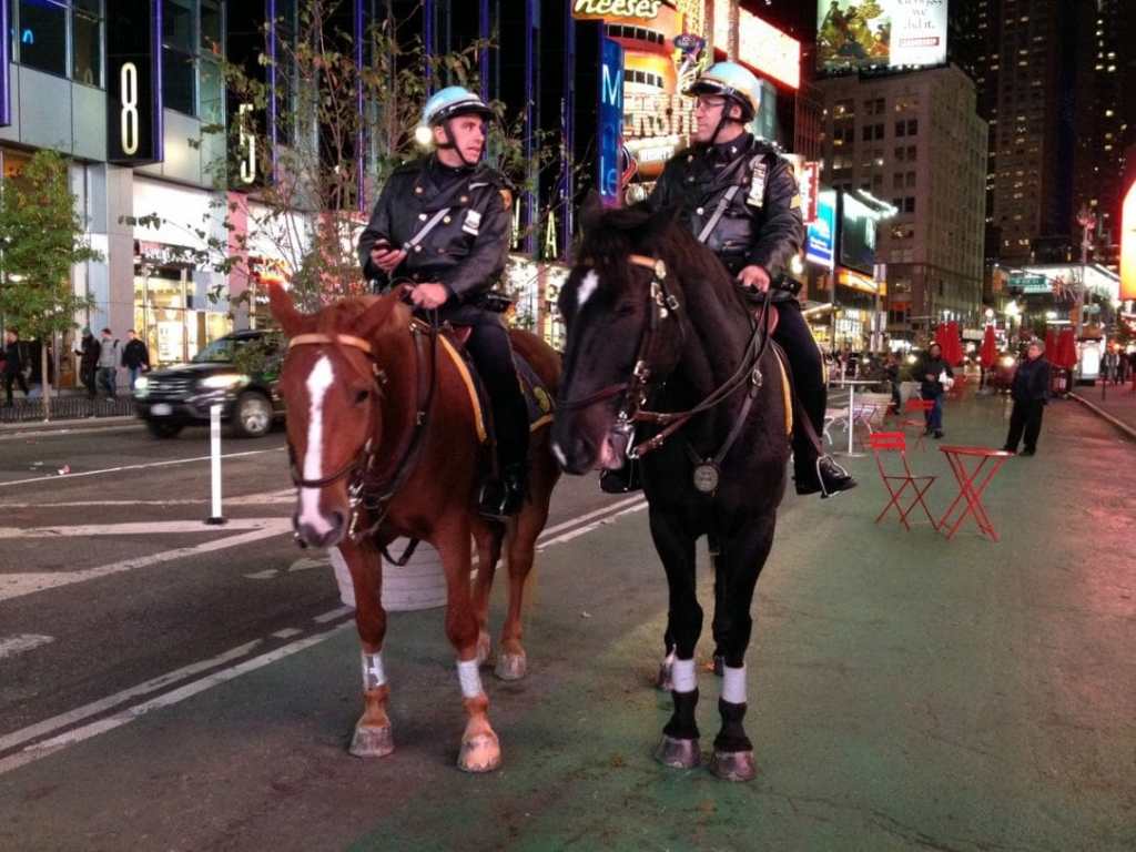 Mounted NYPD