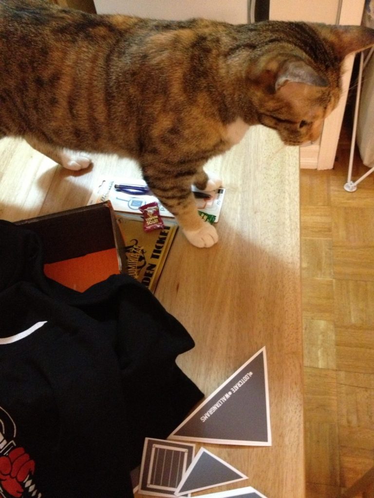 My cat Dapper just doing what she does.