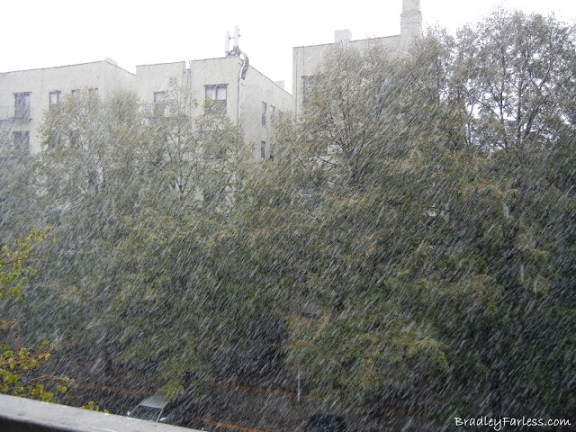 First Snow For New York City 2011