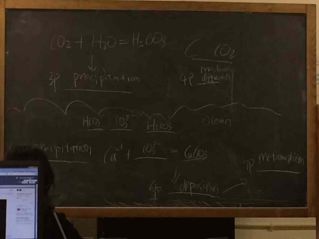 The Inorganic Carbon Cycle