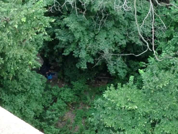 A homeless man getting comfortable in the bushes off the path in Fort Washington Park along the Hudson River Greenway.