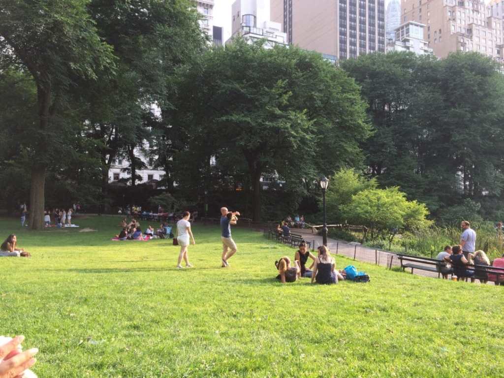 19085556263_e5681e0060_o