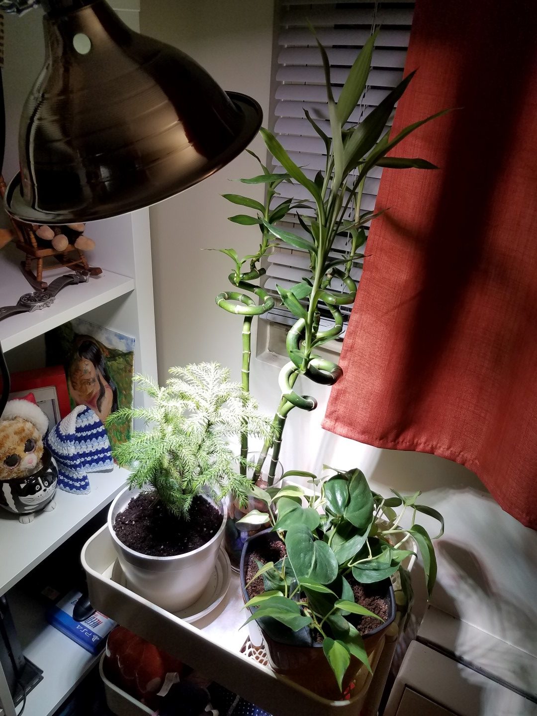 Plants in a Raskog utility cart from Ikea