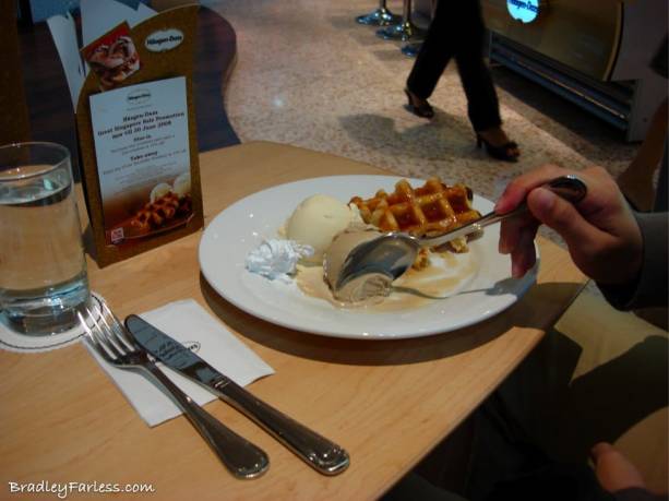 Haagen-Dazs Boutique Ice Cream 2