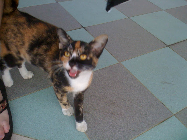 Mob Photo 10-Jan-2010 AM 01 12 00