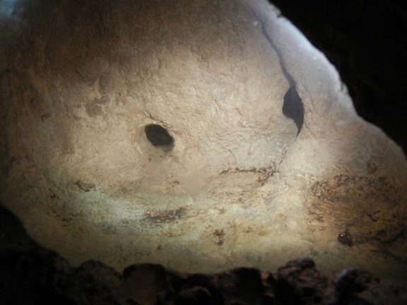 One of the chambers in the Central Park Zoo ant habitat. All that's left are a few corpses. One of the chambers in the Central Park Zoo ant habitat. All that's left are a few corpses.